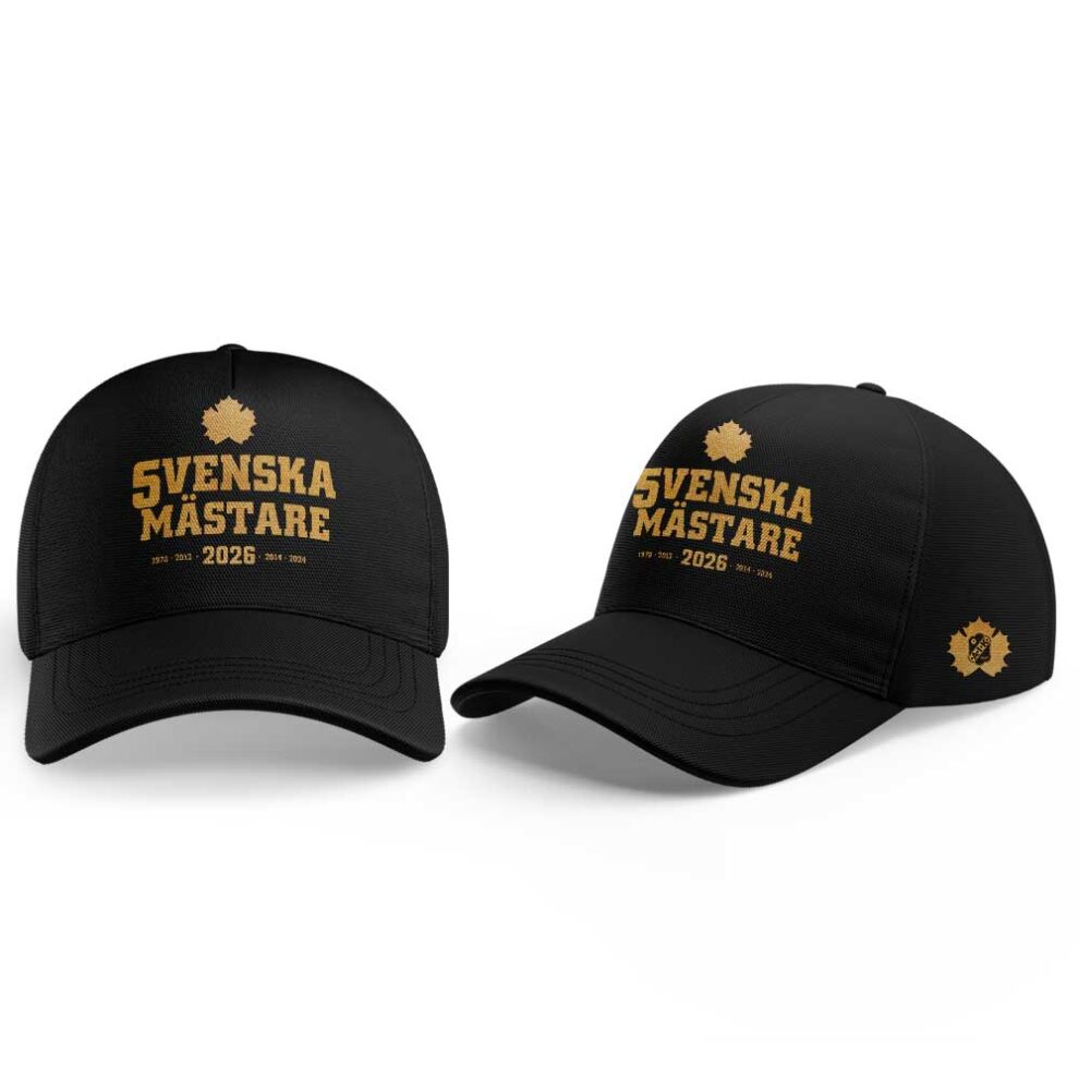 Skellefteå AIK Hockey VI ÄR SVENSKA MÄSTARE 2026 Hoodie V2
