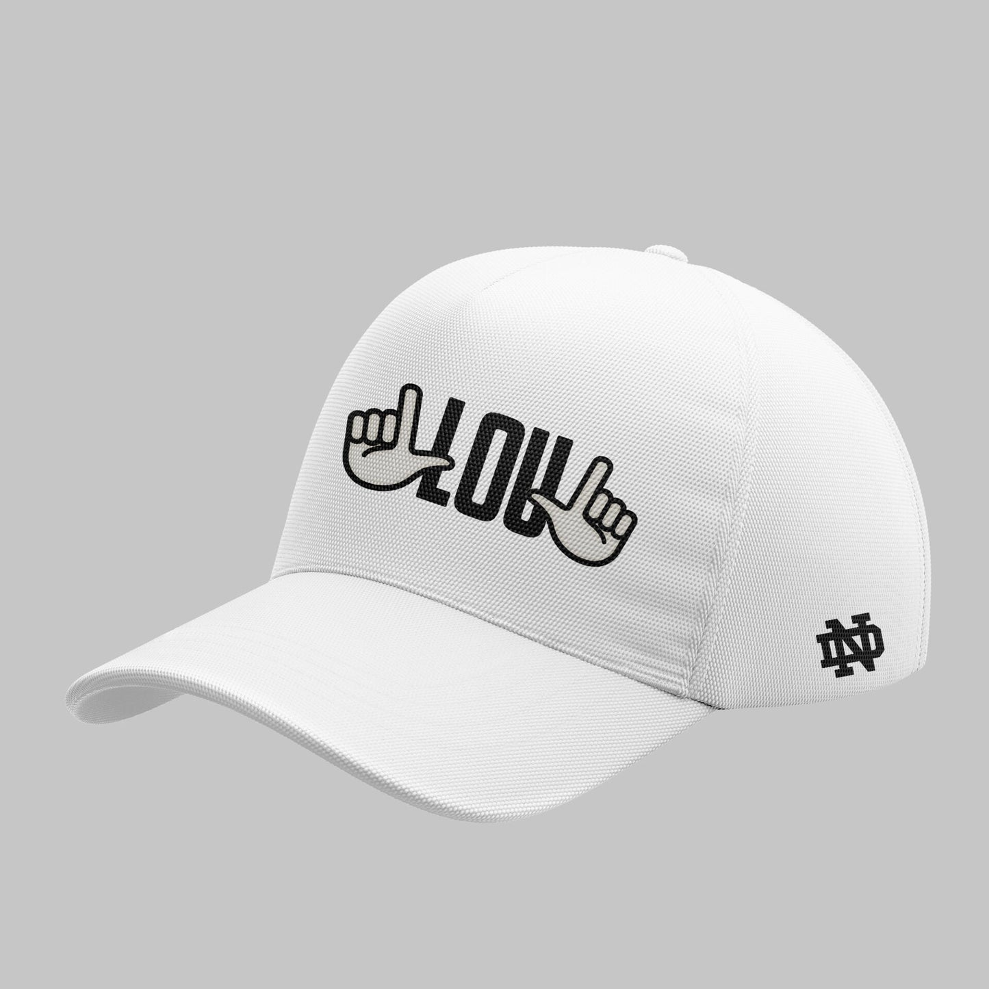 Remembering The Life And Legacy Of Lou Holtz Hoodie