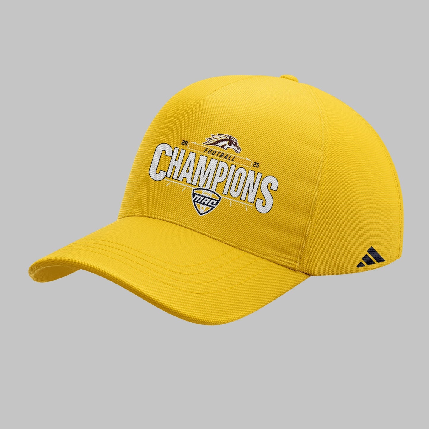 Limited Edition Myrtle Beach Champions Hoodie